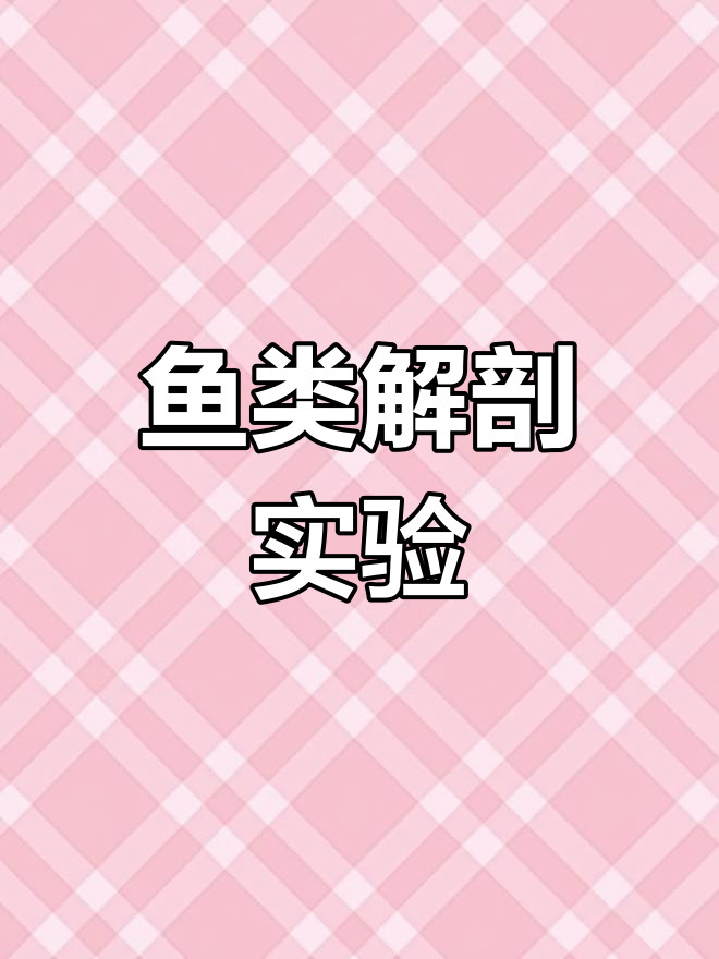 探索鱼类的独特结构与功能