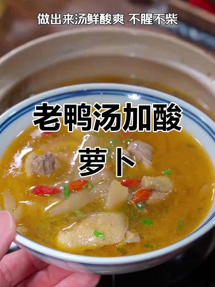 酸萝卜炖老鸭汤,鲜美不腥,做法超简单