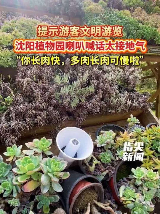 提示游客文明游览 沈阳植物园喇叭喊话太接地气 “你长肉快,多肉长肉可慢啦” 接地气搞笑淬不