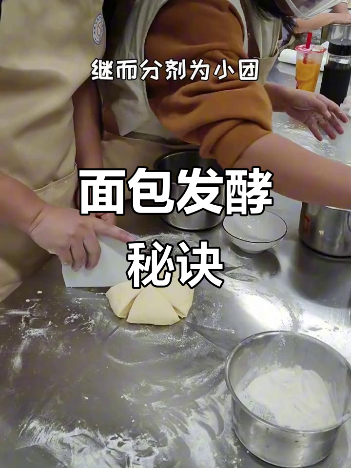 从零到大师,面包发酵的秘密!