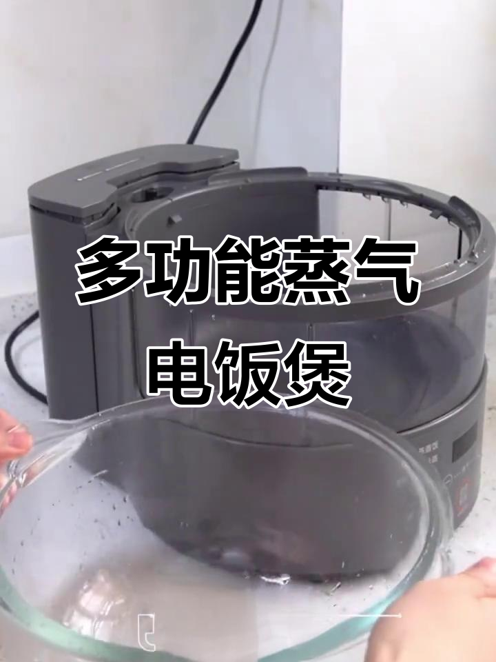 九阳蒸汽电饭煲,公鸭白安千色登场