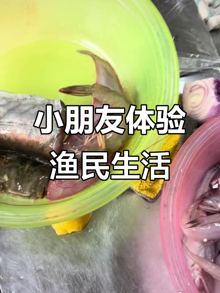 暑假带小朋友出海捕鱼，收获满满！鳗鱼、皮皮虾全都有