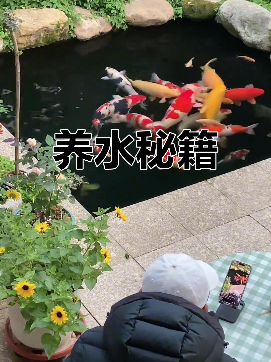 锦鲤鱼池过滤秘诀：如何让水质清澈油亮