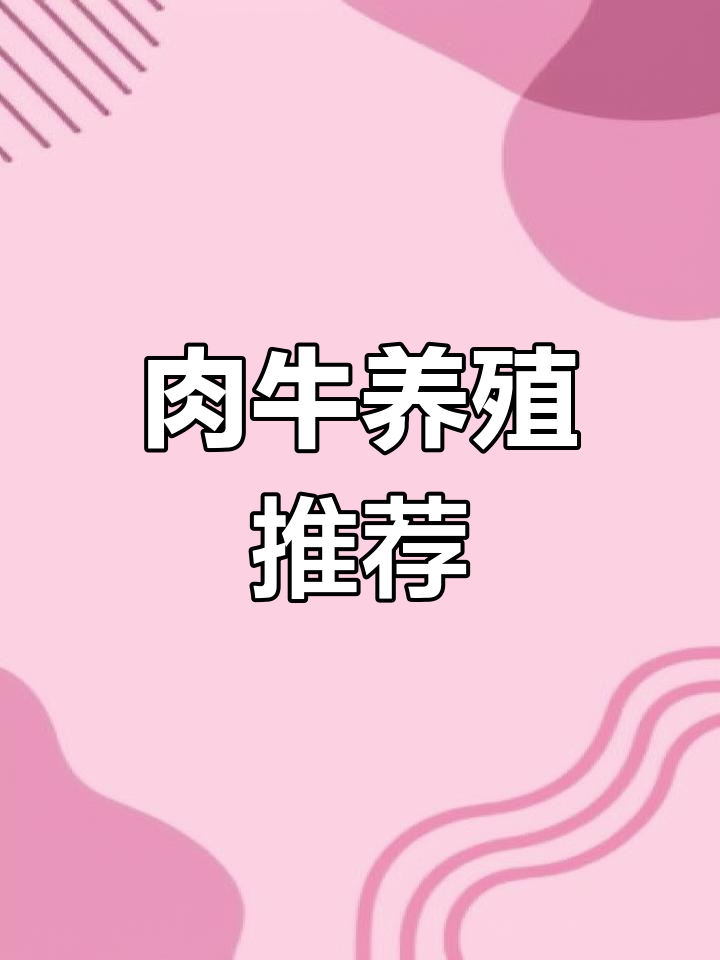 安格斯牛养殖,找胜伟合作