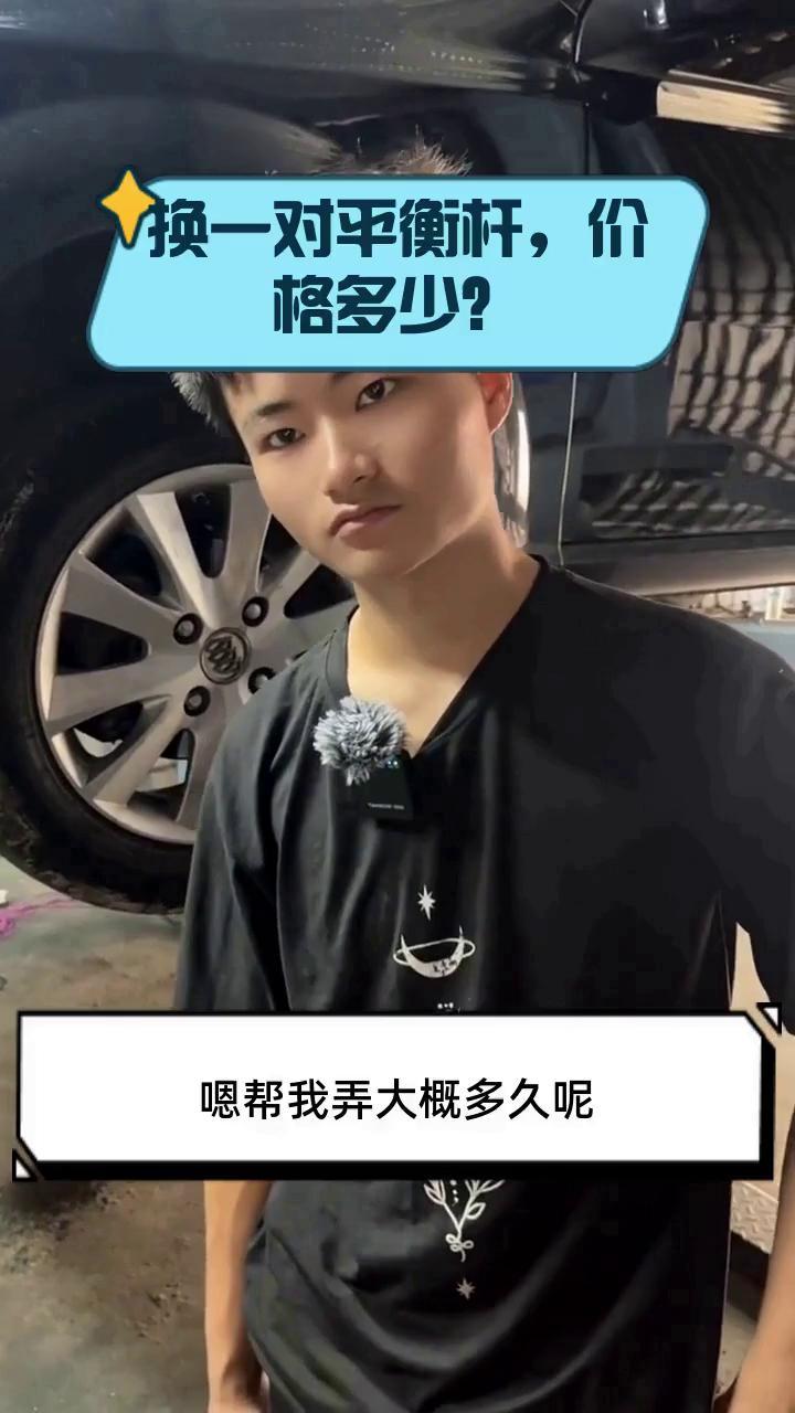 换一对平衡杆,价格多少?