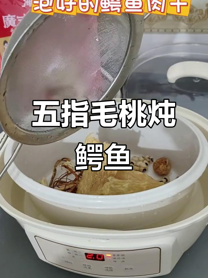 鳄鱼肉干与五指毛桃炖汤,鲜美又滋补