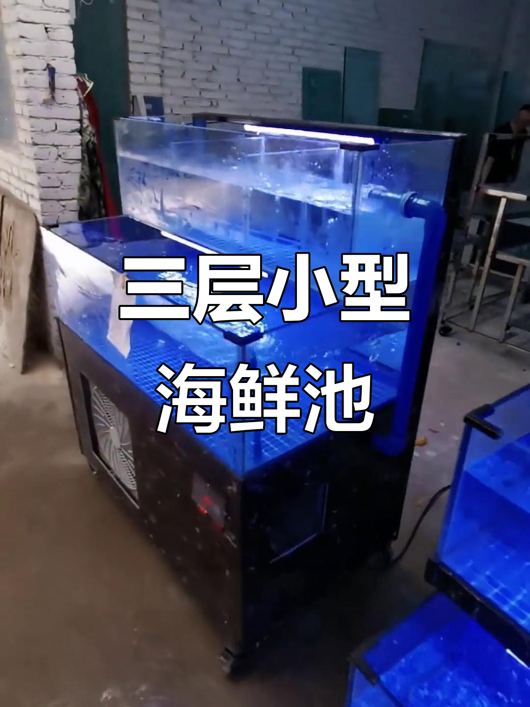 小型海鲜鱼缸设计,三层结构省空间又实用