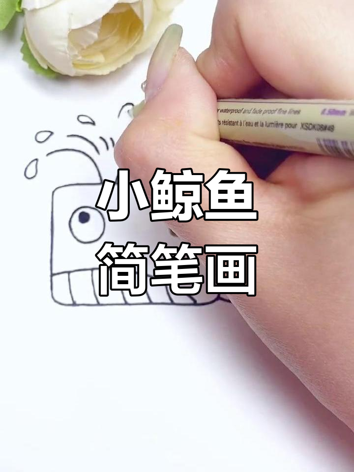 用正方形轻松画小鲸鱼,简单又有趣