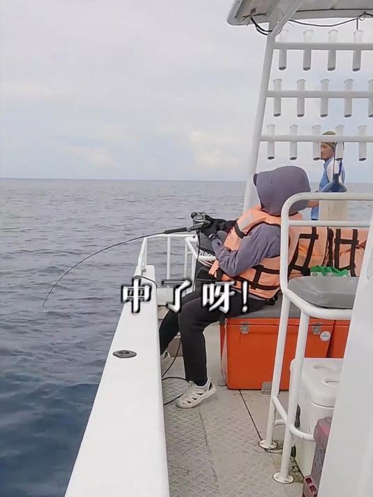 海钓巨型鲨鱼是什么样的体验?(国外合规海钓,当地非保护鱼种)