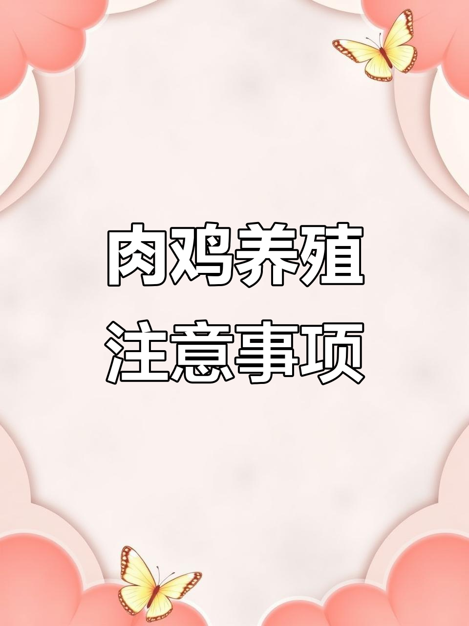 肉鸡养殖管理技巧:控料与光照调整,预防肠道疾病