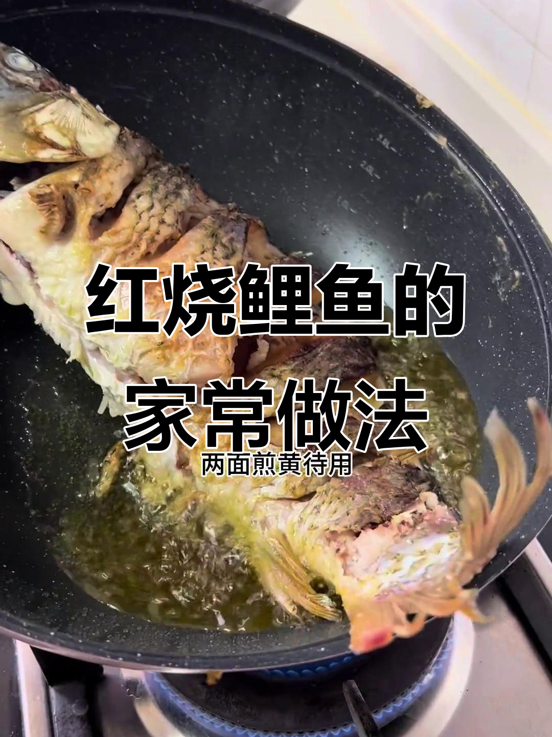 家常红烧鲤鱼，简单又美味，杨皮皮快来点赞！