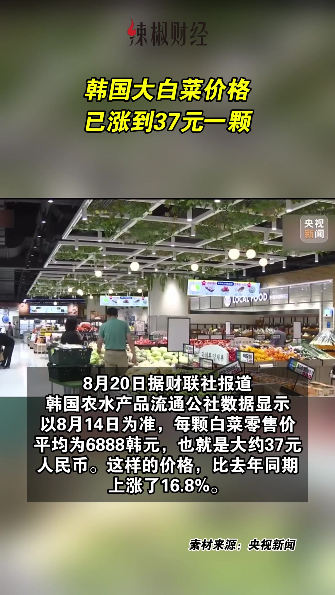 韩国大白菜价格已涨到37元人民币一颗
