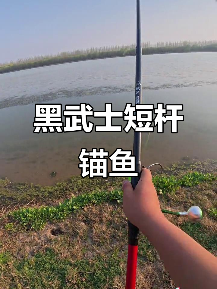 短杆硬汉锚鱼,轻松搞定底层大物