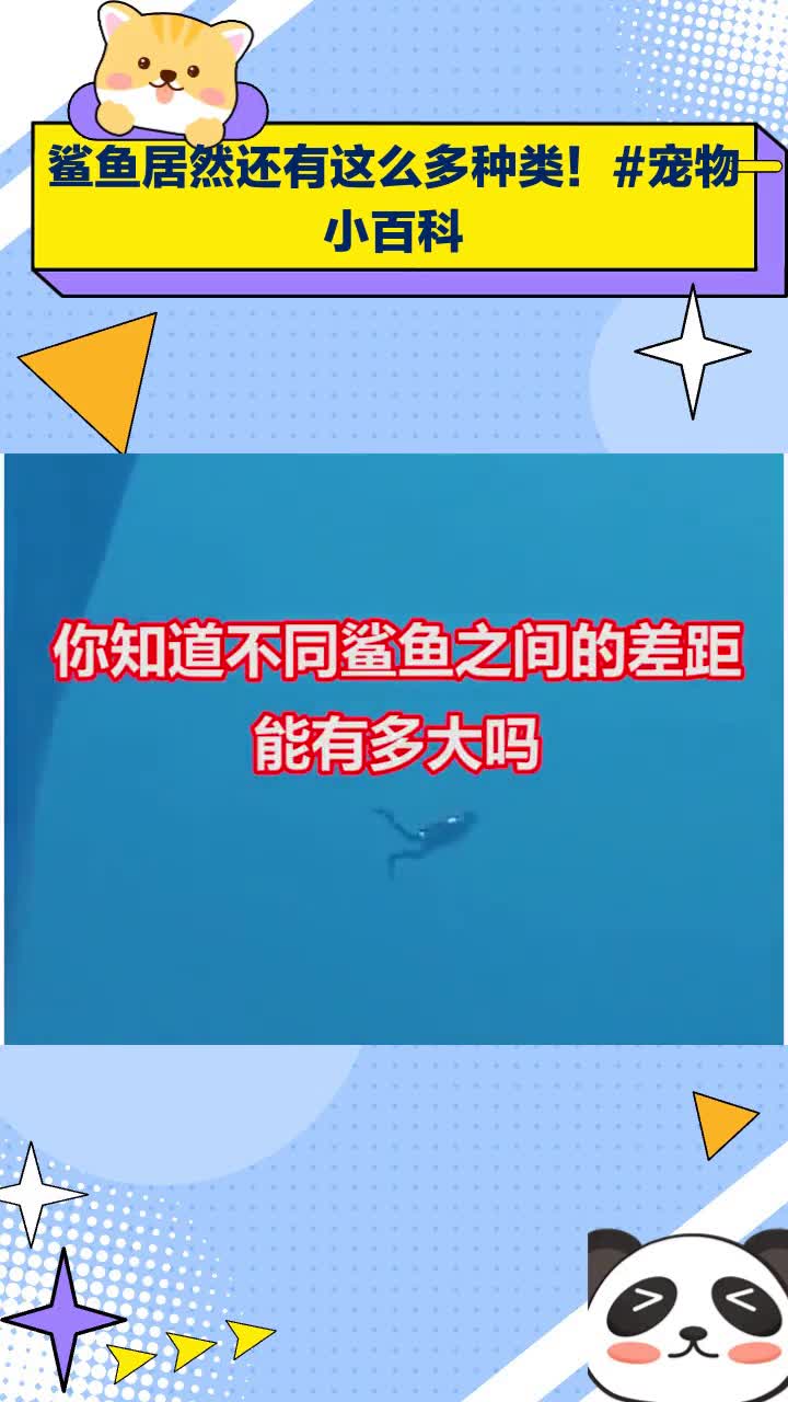 鲨鱼居然还有这么多种类!宠物小百科