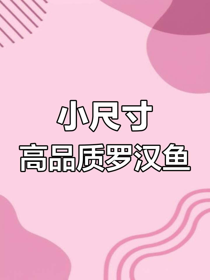 6公分帝王金花罗汉鱼,品质逆天