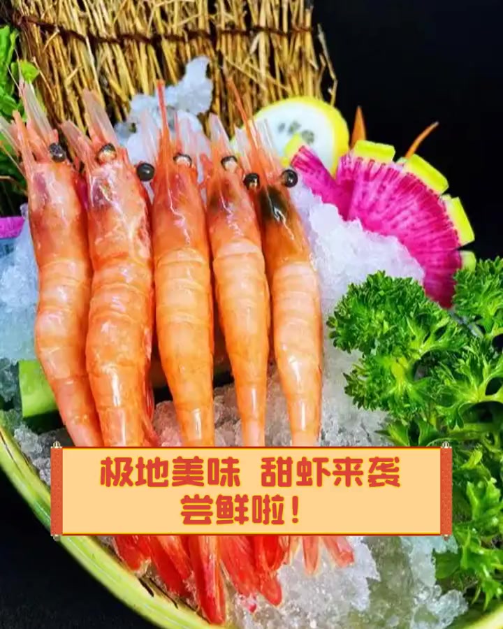 极地美味,甜虾来袭,尝鲜啦!
