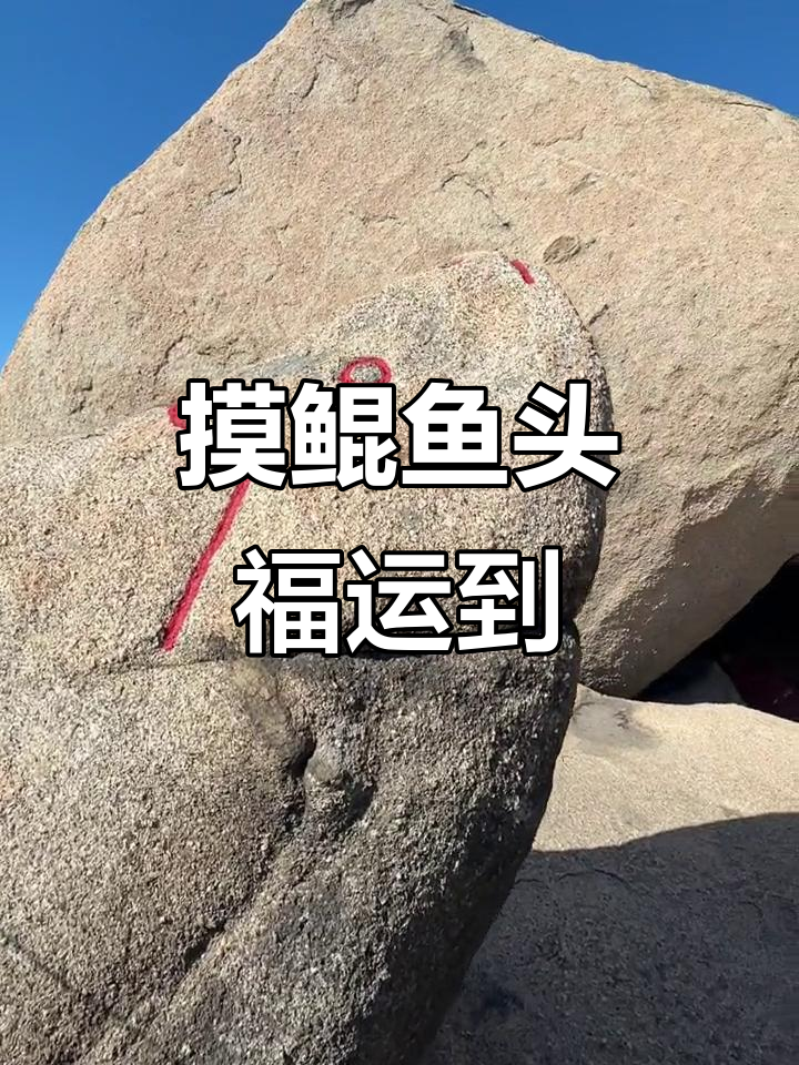 摸摸鲲鱼头,好运连连;背靠昏世殿,一生无忧