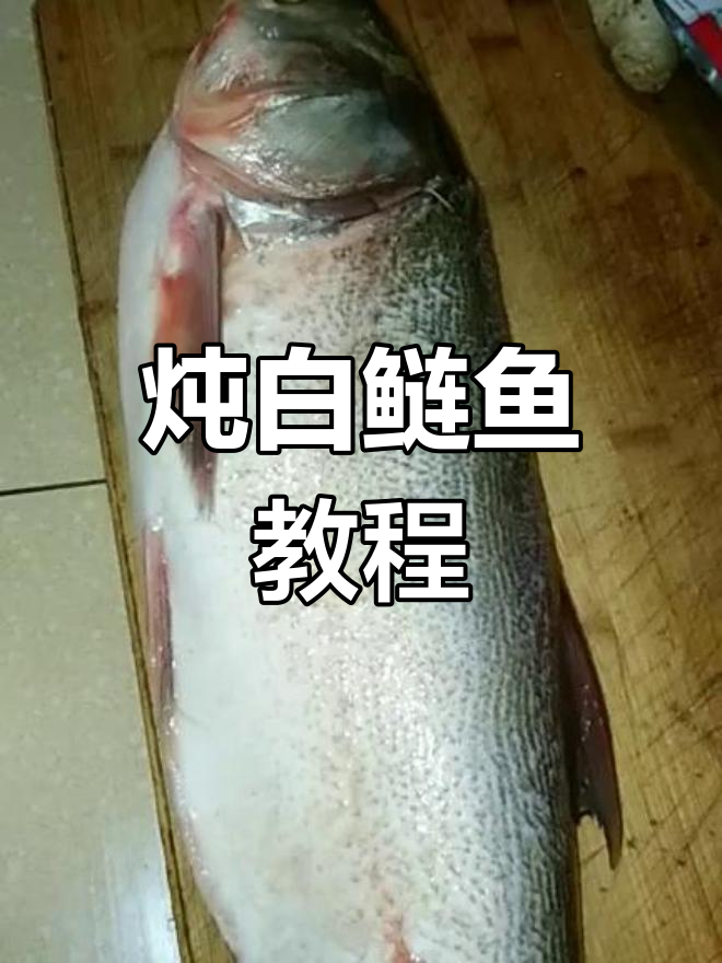 白鲢鱼炖出美味,汤汁粘稠让人流连忘返