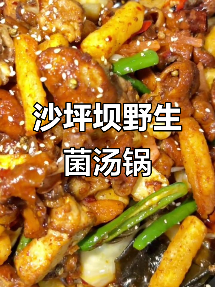 重庆沙坪坝野生菌汤锅,本地人最爱吃的美味干锅馆