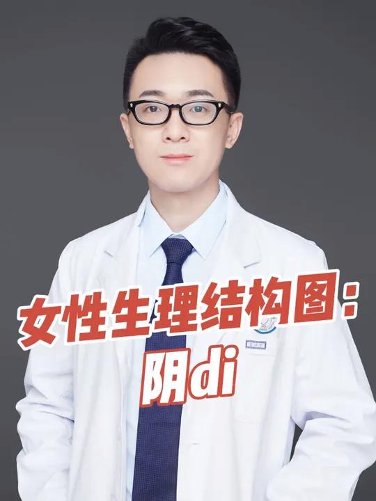 女性生理结构图:阴di 硬核健康科普行动