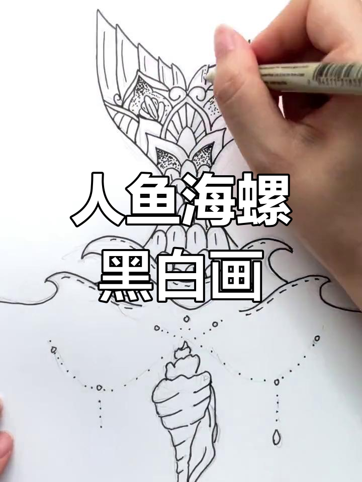 美人鱼与海螺的黑白画,长意和纪云禾的故事