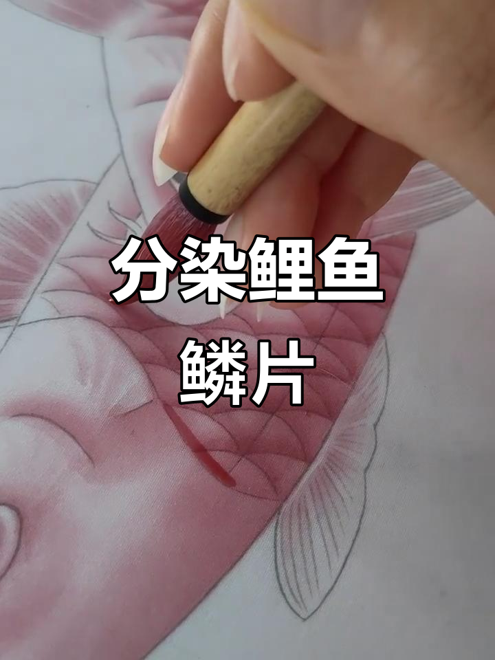 绢画鲤鱼鳞片分染技巧,细节决定成败