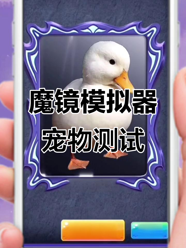 宠物测试:王倩倩的小香猪,陈千羽的可达鸭和吴佳欣的羊驼