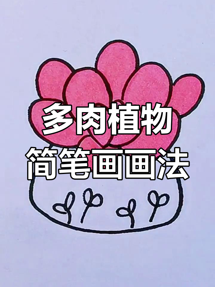 森林中的布谷鸟家,多肉植物简笔画来啦