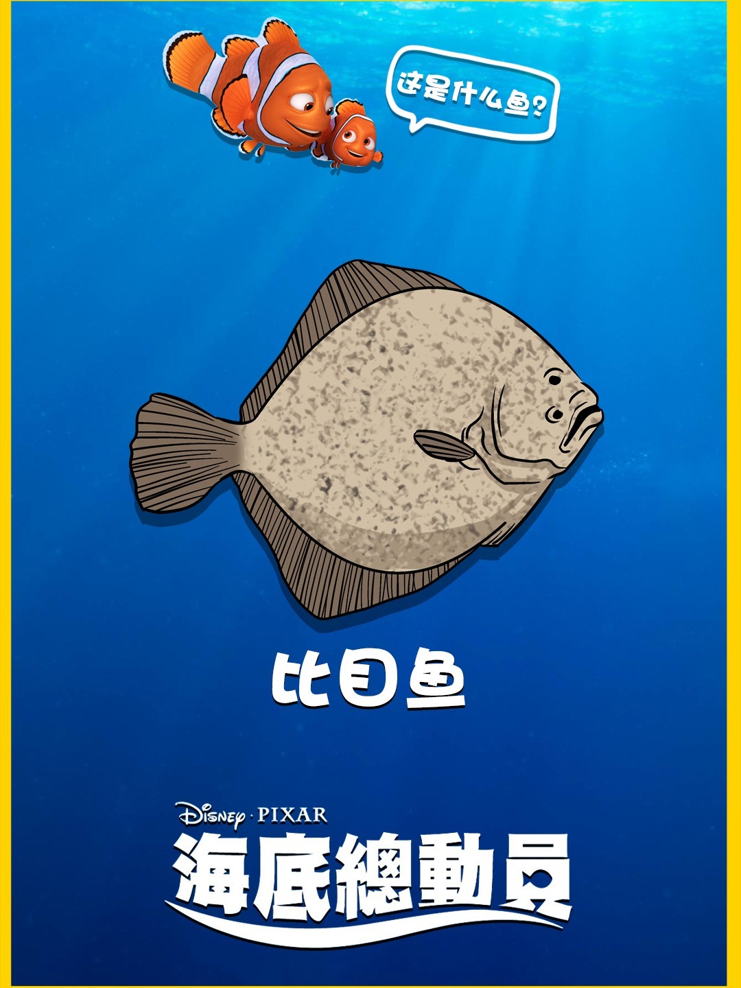 好吃好丑!鱼世界唯一不对称的脸-比目鱼