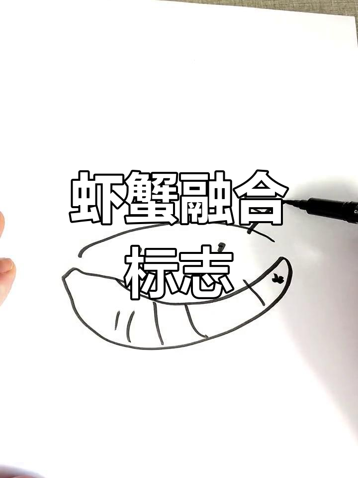 虾蟹结合创意logo设计,细节满满!
