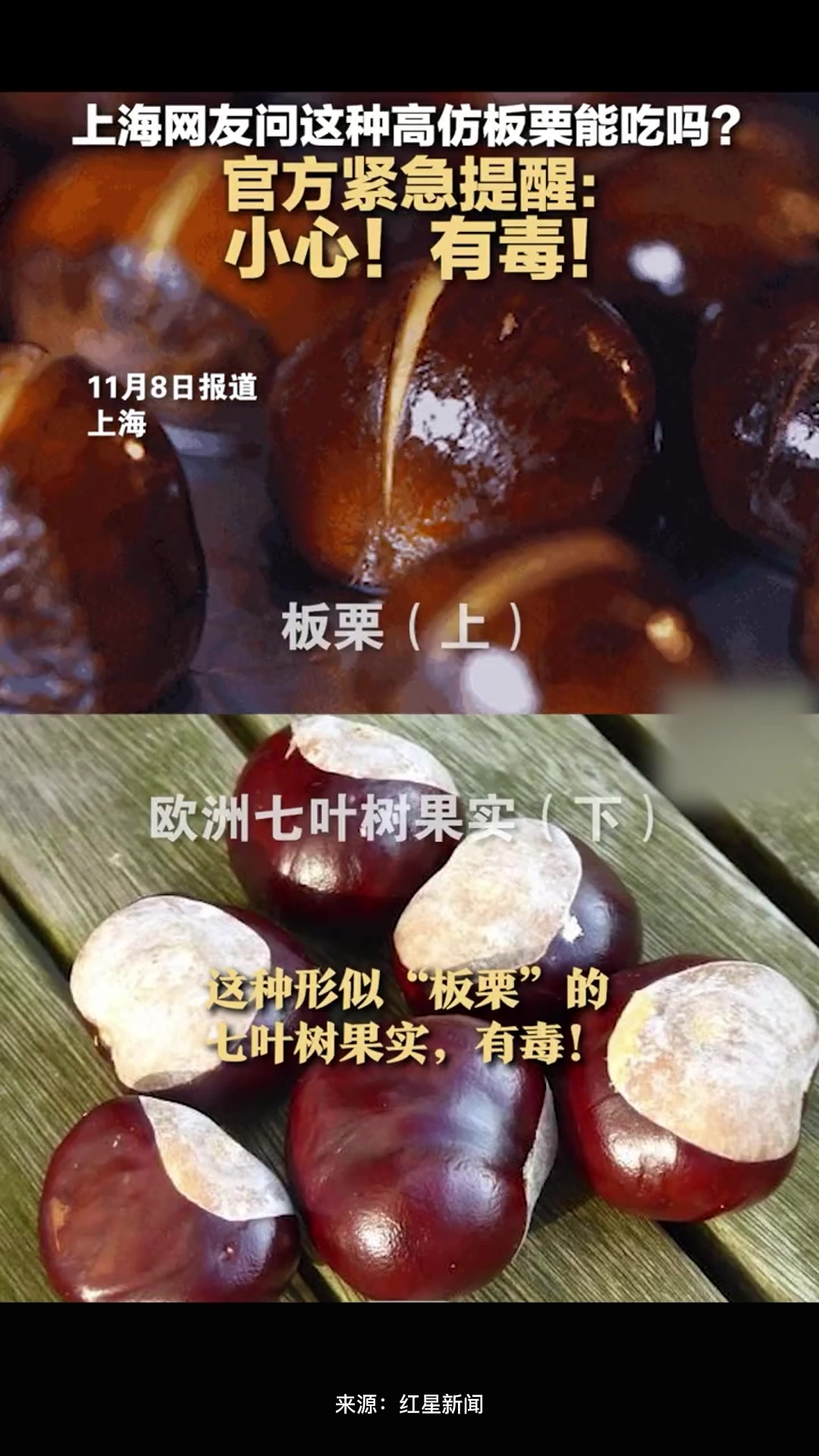 上海网友问这种高仿板栗能吃吗?官方紧急提醒:小心!有毒!