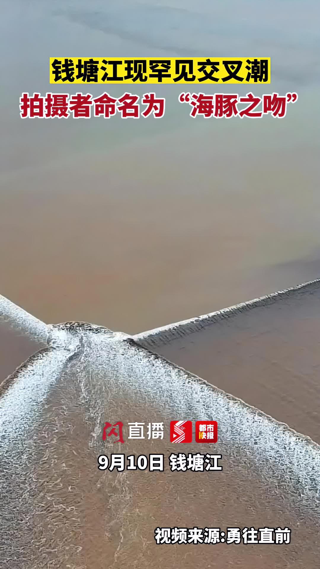 钱塘江现罕见交叉潮,拍摄者为其去了一个浪漫的名字:海豚之吻。神奇的大自然