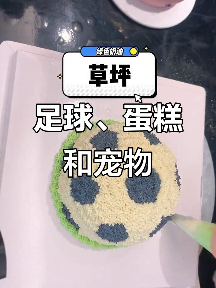 足球与蛋糕的奇妙碰撞，宠物们的欢乐时光