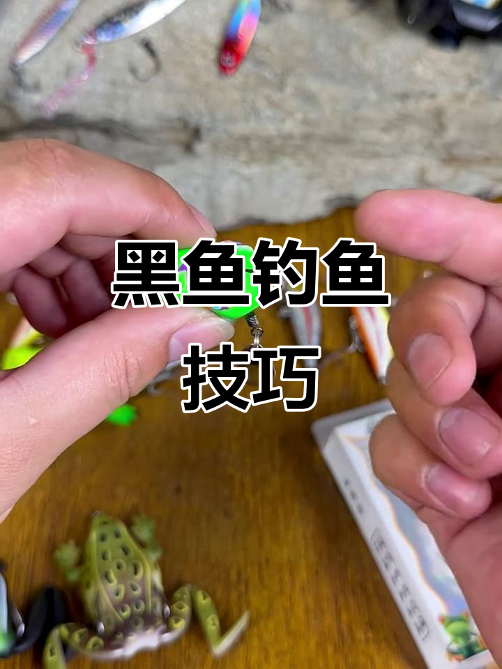 钓黑鱼用大青蛙,3斤以下拇指蛙更合适