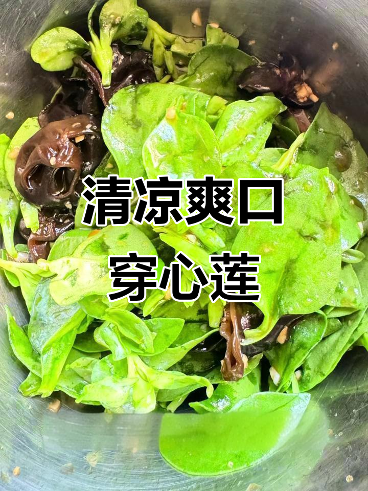 夏日清凉必备!穿心莲凉拌菜,简单又营养