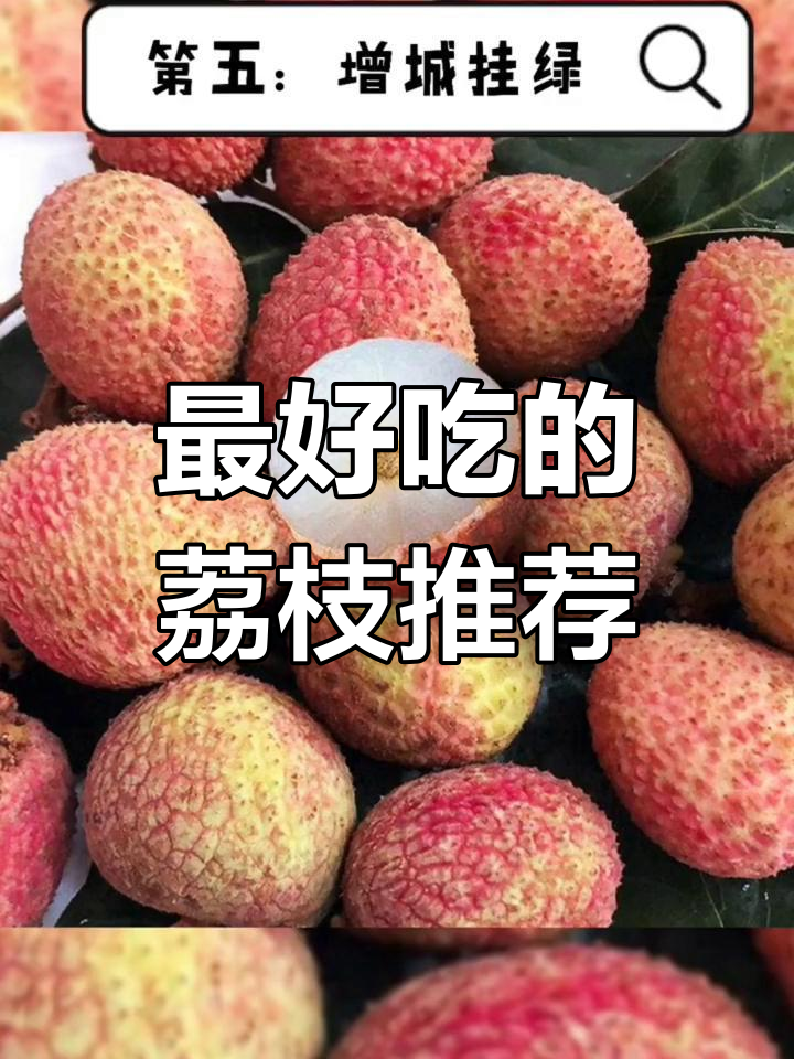 中国荔枝品种排名,第一名竟然是它