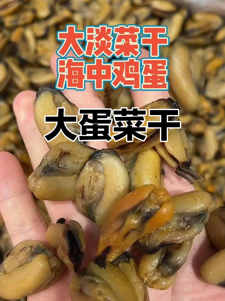 新鲜大淡菜,口感鲜美
