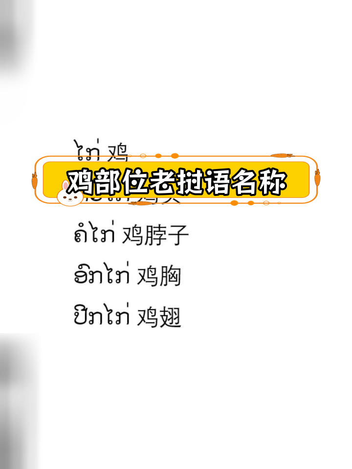 老挝语教你认鸡的部位
