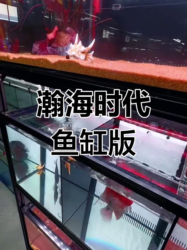 瀚海时代鱼缸各版本介绍,功能与尺寸全解析