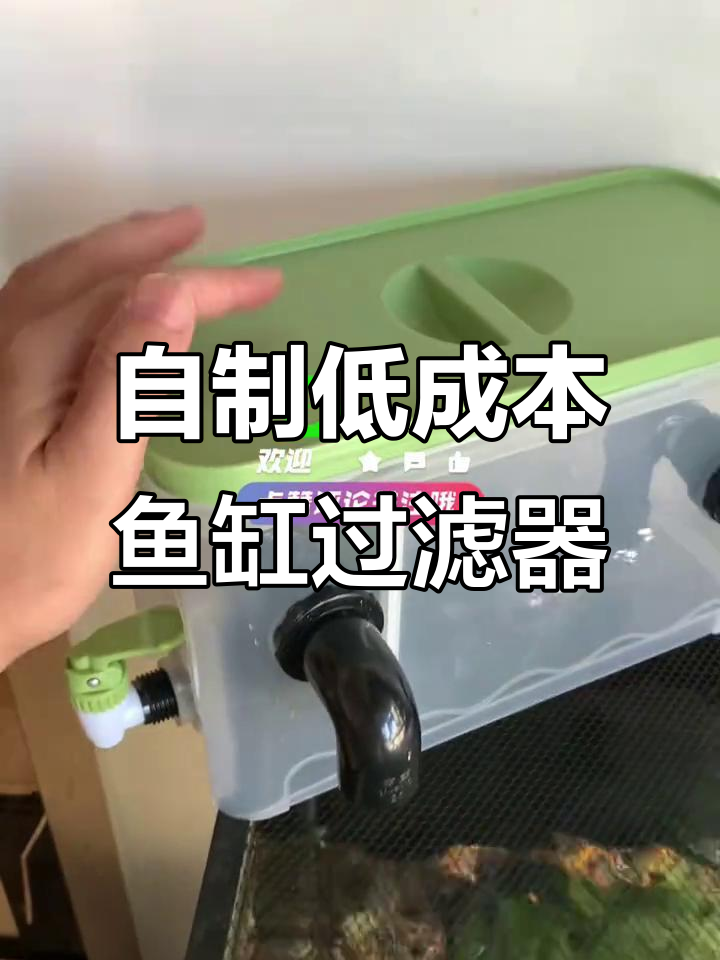20元自制鱼缸过滤系统,沉淀排污一步到位