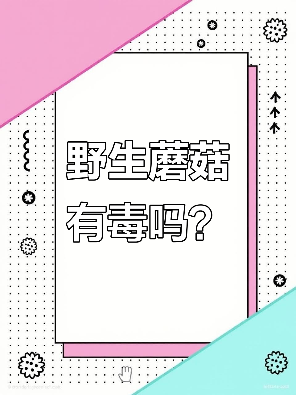 大山里的毒蘑菇与美味珍品,吃错了可能致命!
