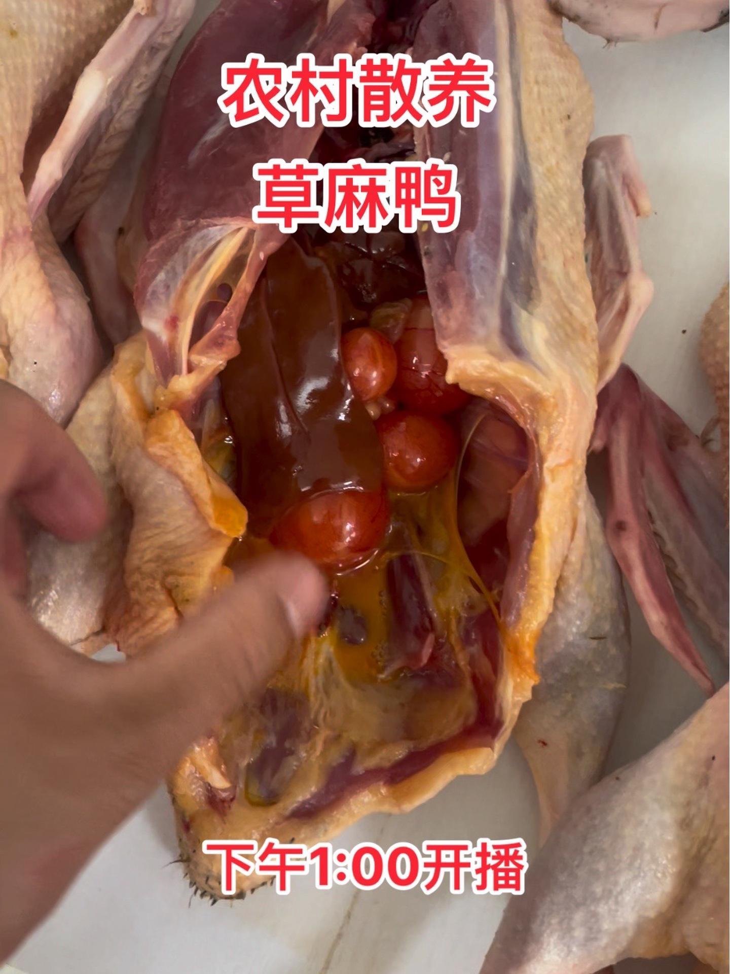 农村散养老麻鸭 土鸡土鸭 优质农产品 每天都是新鲜食材 江苏盐城 麻鸭