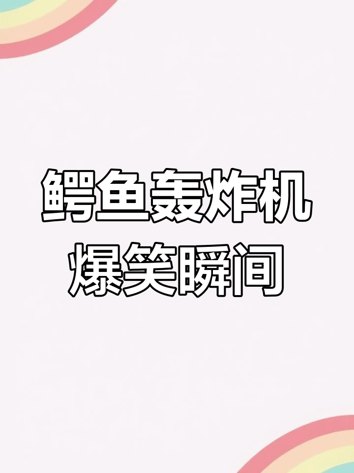 鳄鱼轰炸机:一款让人捧腹的搞笑视频