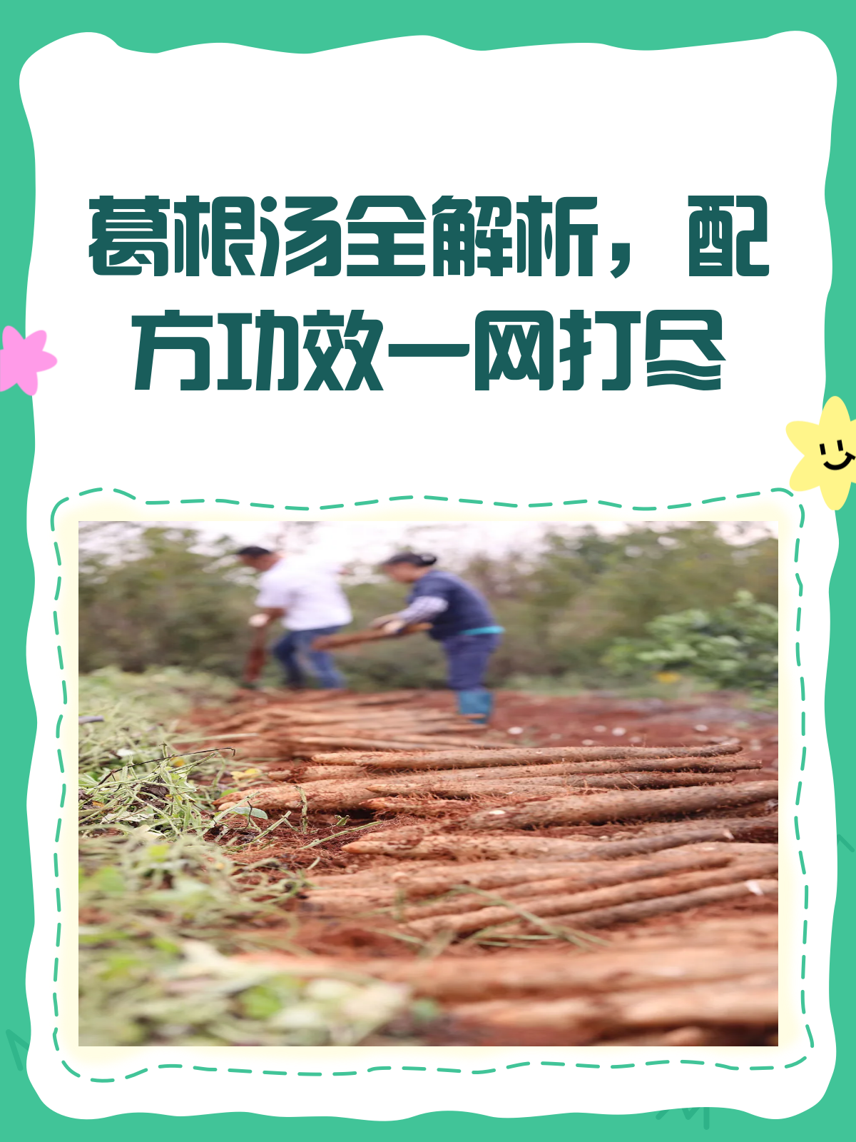 葛根汤大揭秘!配方、功效与注意事项全解析