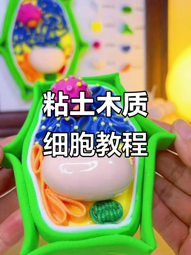 用粘土做植物细胞模型,简单又有趣!