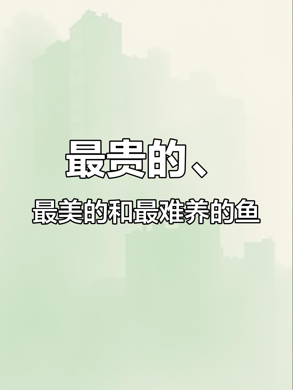 盘点观赏鱼之最:从贵到便宜,再到凶猛与温顺