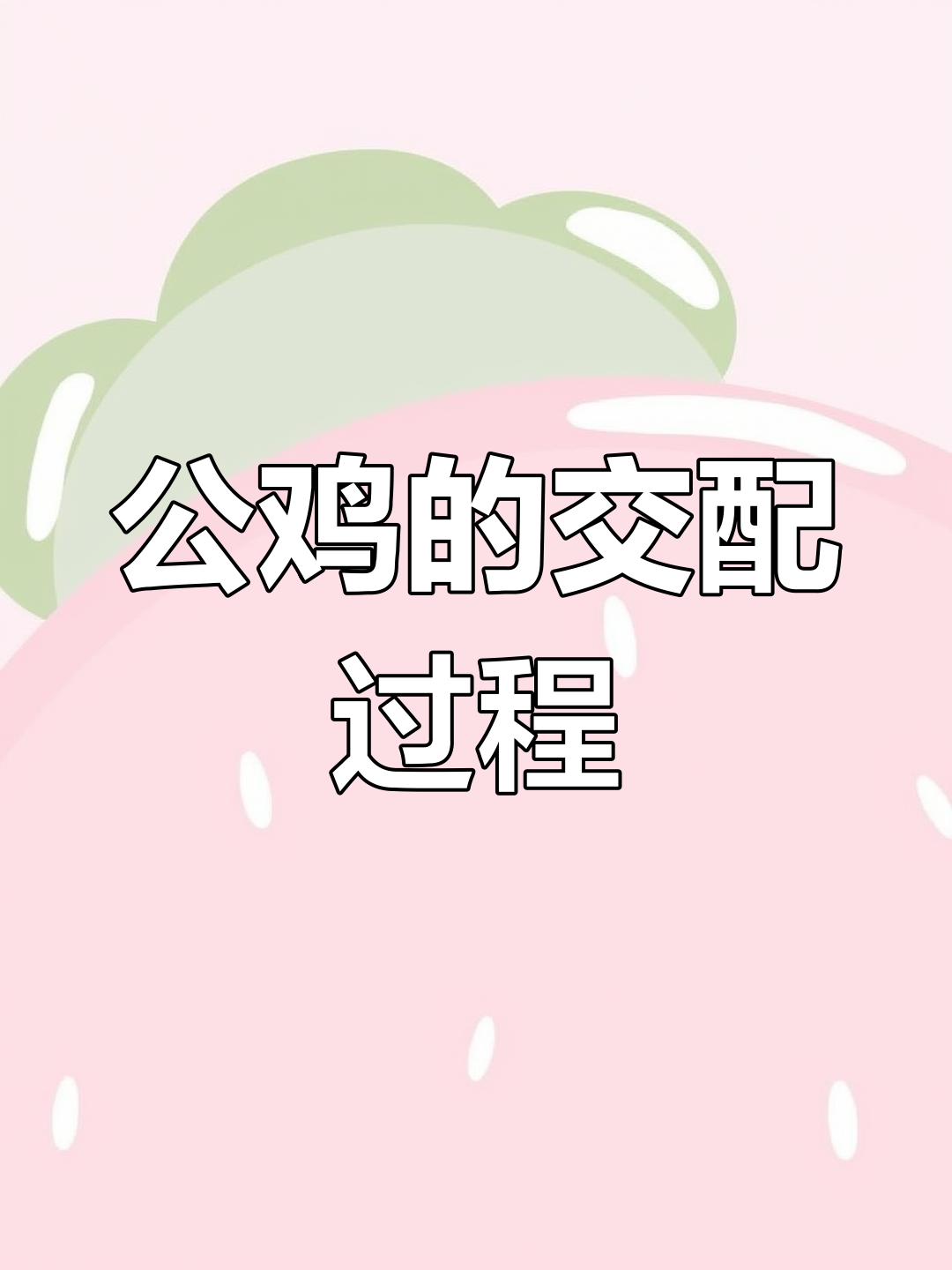 公鸡如何交配?揭秘其独特生殖方式