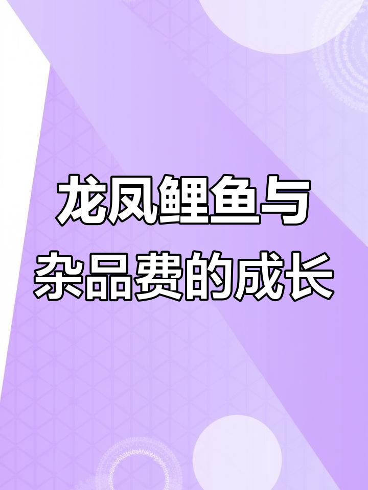 杂品费与龙凤黄金鲤鱼的成长故事,岁岁平安的祝福