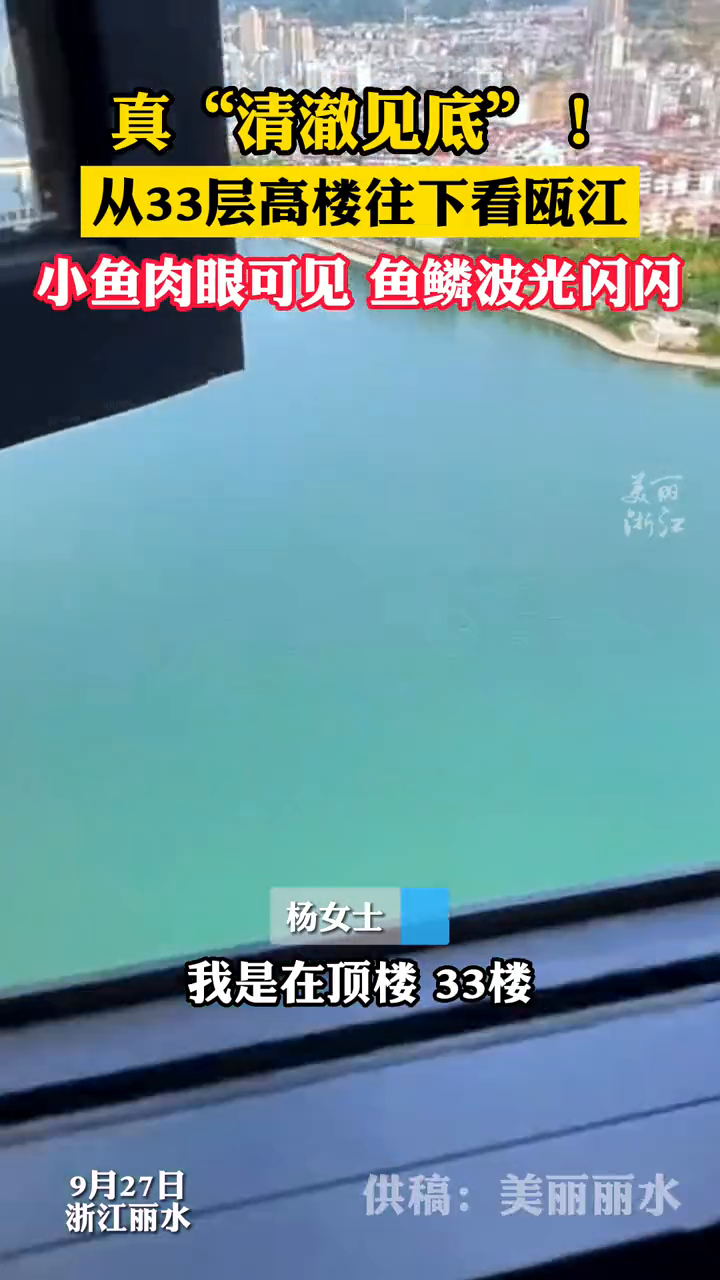 浙江的水能有多清澈?从33楼往下望去,瓯江的小鱼清晰可见!