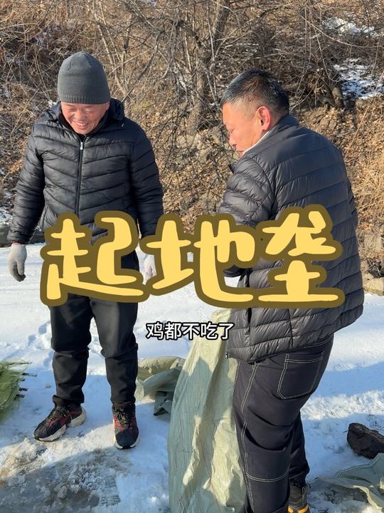 猫冬开启！农村抓鱼摸虾、起地笼的真实记录